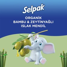 Selpak Organik Bambu Özlü & Organik Zeytinyağlı Islak Mendil 12'li 600 Yaprak