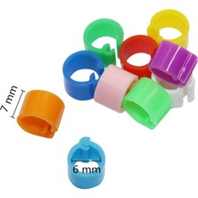 Huoxun Shop A Beyaz Stil Kuş Ayak Halka Eğitim Malzemeleri 6mm Iç Çaplı Beşik Tanımlama Halkası Açılışsız Numarasız Geons Halkalar (Yurt Dışından)