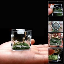 Huoxun Shop A 5.2x5.2x5.2cm Stili Küçük Örümcek Karınca Çiftliği Solunabilir Terraryum Şeffaf Sürüngen Üretim Kutusu Akrilik Montajlı Ekolojik Kutu (Yurt Dışından)