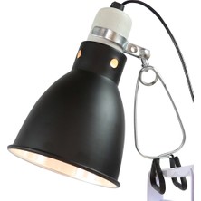 Huoxun Shop A Turuncu Tarzı Sürüngen Terraryumu Sıcaklık Korumalı Lamba Gölgelik Kaplumbağa Kertenkele Yılan Lamba Tutucusu Pet Sıcaklık Koruyucu Kapağı Güvenlik Işık Gölgeliği (Yurt Dışından)
