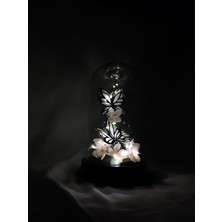Kibele Sanat Dekoratif Toz Pembe Bahar Çiçekli Beyaz Kelebek Teraryum Fanus,  Fanus, Işıklı , Sevgililer Günü