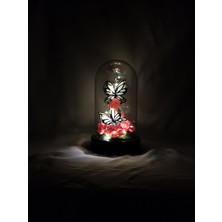 Kibele Sanat Dekoratif Koyu Pembe Bahar Çiçekli Beyaz Kelebek Teraryum Fanus,  Fanus, Işıklı , Sevgililer Günü