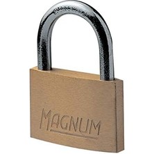 20 mm Çelik, Pirinç, 20 Yaprak, Destekli Tasarım Lock Bilgisayar - Yeni