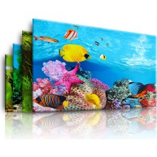Huoxun Shop A G Tarzı 50X80CM Akvaryum Manzara Sticker Poster Balık Tankı 3D Arka Plan Boyama Sticker Çift Taraflı Okyanus Deniz Bitkileri Arka Plan Akvaryum Dekorasyonu (Yurt Dışından)