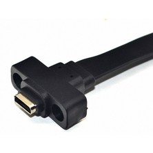 Enachanrited USB 3.1 Ön Panel Tip E Erkek - Usb-C Tip C Genişletme Kablosu Bilgisayar Anakart Konektörü Tel Kablo Hattı, 30 cm (Yurt Dışından)