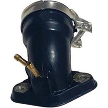 Manifold Cygnus L