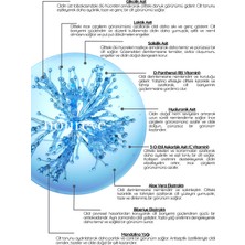 Noureve -Siyah Nokta Karşıtı, Cilt Tonu Eşitleyici Aha-bha/vitamin C Tonik-Phytoactive Exfoliant Solution