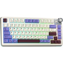 Aula AU75 3 Modlu Rgb Hot Swap Mekanik Tkl Seiya Switch Kablosuz Makrolu Klavye Bej