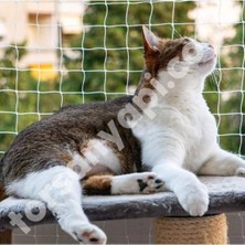 Kedi Filesi – 4 cm – 2.5 mm Ip – Kedi Ağı – Kare Desen - 1.5 Metre x 2 Metre