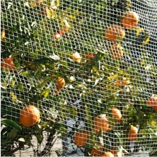 Kuş Ağı – 2 cm Gözli – Kuş Filesi – 1,5 mm Ip – Beyaz Renk – Balkon Filesi - 2.5 Metre x 2 Metre