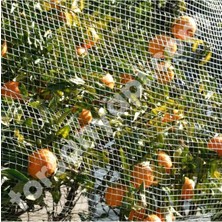 Kuş Ağı – 2 cm Gözli – Kuş Filesi – 1,5 mm Ip – Beyaz Renk – Balkon Filesi - 2.5 Metre x 2 Metre