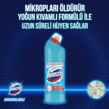 Domestos Domestos Çamaşır Suyu Okalıptus 750ML Paket (5 Adet)