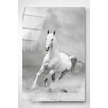 Marsilyan White Horse Cam Tablo