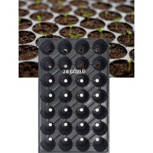 Polatoğlu Tarım 2 Adet, 28 Göz Fide Viyolü, Fidelik Viyol, Tohum Viyolü, Tohum Fide Yetiştirme Viyolü