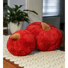 Pabtex Dekoratif 2'li Pelüş Kabak Kırlent