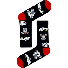 Carnaval Socks Çoklu Koala Desenli Renkli Soket Çorap