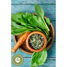 Gülçehre Yörem Afyon Meşhur Kars Dağ Eteklerinden Toplanmış Sinir Otu, Damar Otu, Yara Otu | 35GR.
