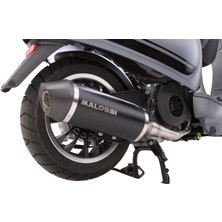 Malossi Vespa Primavera-Sprint 125-150 Egzoz RX Black Edition (3216551) / MALOSSI