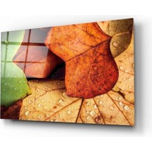 Yapraklar Cam Tablo