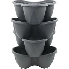 Serinova Pamukkale Saksı 4'lü Set