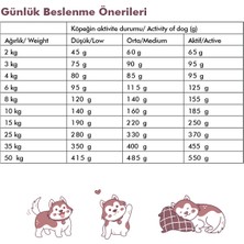 Friend Pet Premium Gold Yetişkin Köpek Maması Tavuklu 2 Kilo %100 Yeme Garantili