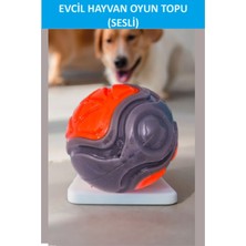 Sesli Köpek Topu (Kendinden Sesli Köpek Oyuncağı)