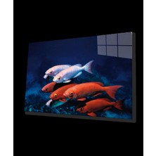 Marsilyan- Kırmızı Beyaz Balıklar Cam Tablo Red White Fishes
