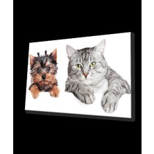 Marsilyan- Kedi ve Köpek Cam Tablo