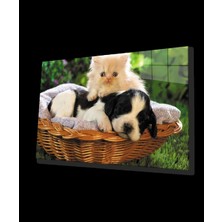 Marsilyan- Kedi Köpek Cam Tablo