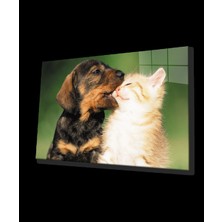 Marsilyan- Kedi ve  Köpek Cam Tablo