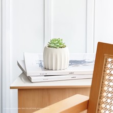 Modern, Şık ve Dekoratif Yıldız Tasarımlı Beton Sukulent Saksısı