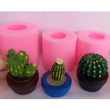 Ipek Hobi Üçlü Kaktüs Saksılı Silikon Kalıp Set