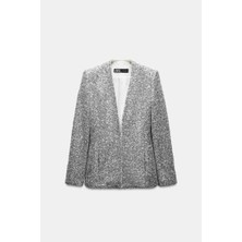 Allbucks Zara, Gümüş Payetli Blazer Ceket ABZRA1002