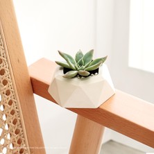 Modern, Şık ve Dekoratif Hexagen Tasarımlı Beton Sukulent Saksısı - Küçük Boy (Bej - Kırık Beyaz)