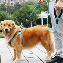 130 cm Metal Kancalı Tasma Kayışı Gezdirme Halatı Fosforlu Köpek Reflektörlü Yeni