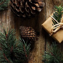 Auralia Brevity 60 Pc Yapay Yeşil Çam Iğneleri Dalları-Küçük Çam Dalları Seçtikleri Kaynaklanıyor-Noel Çelenk Için Sahte Yeşillik Çam Seçtikleri (Yurt Dışından)