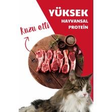 Herbamax Ekstra Protein Destekli Kuzu Etli Yetişkin Kedi Maması 10kg