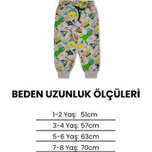 Erkek Çocuk 2 Ip Şardonlu Dinozor Eşofman Tek Alt