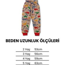 Erkek Çocuk Dinozor Eşofman Tek Alt 2 Ip Şardonlu