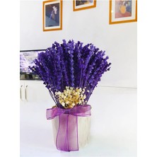 Çiçek Seli Vintage Seramik Saksıda Mor Lavanta & Dekoratif Hediye Tasarımı & Kuru Çiçek & 20-25 cm