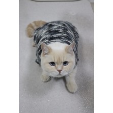 Rastbiero El Örgüsü Kedi Giysisi