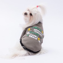 Pawstar Füme Loviisa Sweat Küçük ve Orta Irk