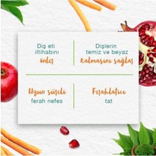 Himalaya Complete Care Koruyucu Diş Macunu - Bitkisel- Vejetaryen - Florürlü - Parabensiz - Güçlü Dişler - 75 ml - 3 Adet