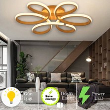 Linup Modern Plafonyer Tavana Sıfır LED Avize Gün Işığı