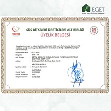 Eget Organik Arbequina Zeytin Fidanı