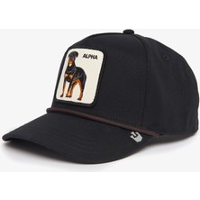 Goorin Bros Alpha Dog 100.BLACK