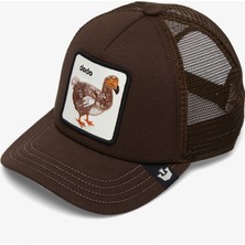 Goorin Bros 201-0062 Way Of The Dodo.brown