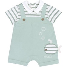 Chicco Tulum - Yarım Kol