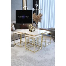 Florit Mobilya Orta Sehpa,4 1 Krom,pizza Sehpa,zigon Sehpa,coffee Table