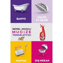 Asprin Çok Amaçlı Temizlik Spreyi